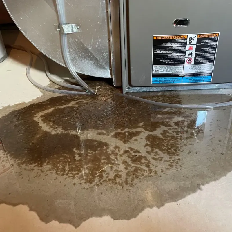 Pipe Burst and Leak Restoration in Blandon, PA