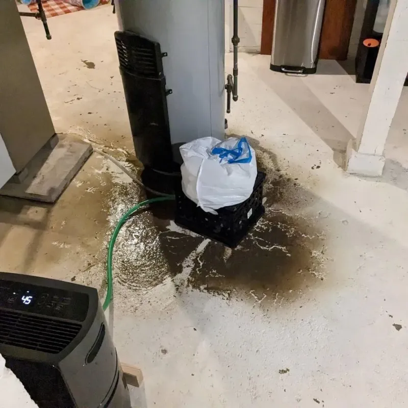 Sewage Backup Cleanup Service in Blandon, PA